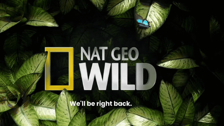 Nat Geo Wild logo displayed over a background of tropical leaves with a message stating 'We'll be right back.'