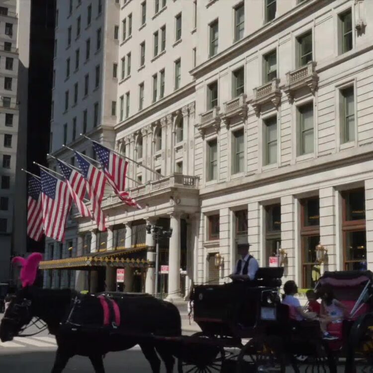 The Plaza Hotel Commercial