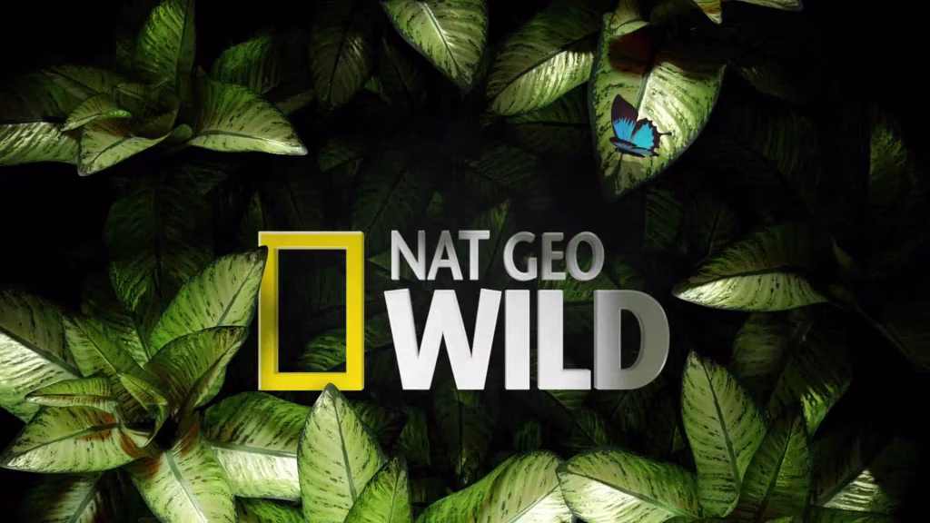 Nat Geo Wild logo displayed among green leaves with a blue butterfly.